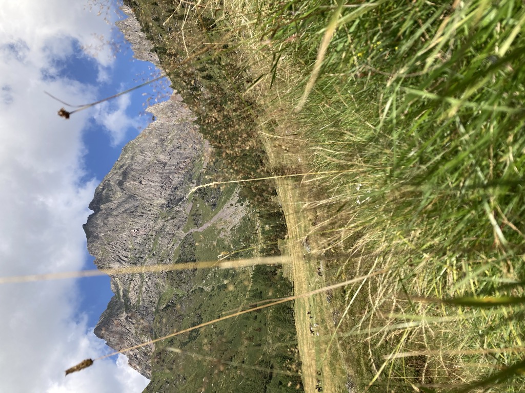 malga-miesnotta-di-sopra-1