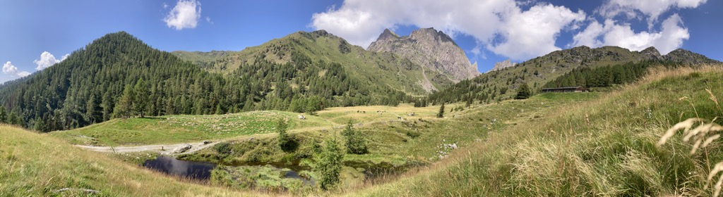 malga-miesnotta-di-sopra-2