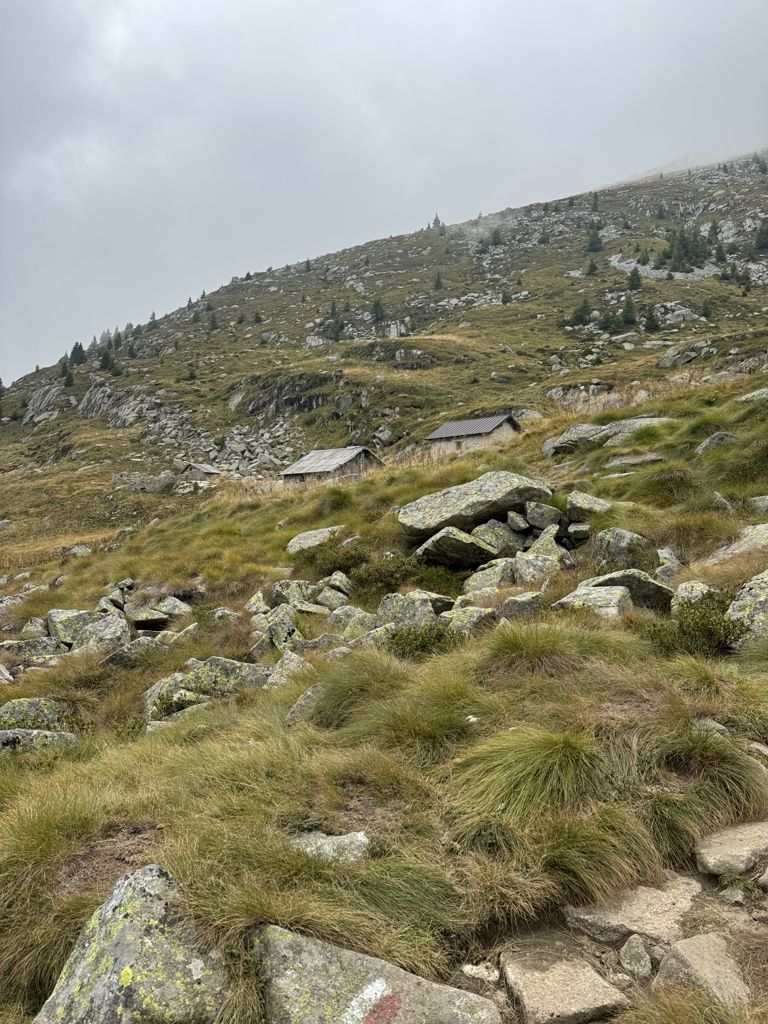 Photo №4 of Malga Miller