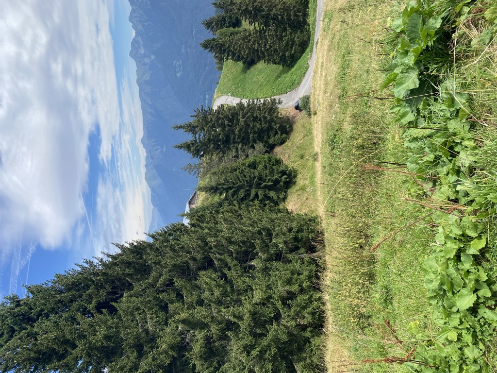 malga-table