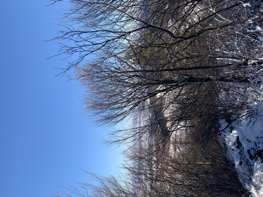 Photo №1 of Mali Konj