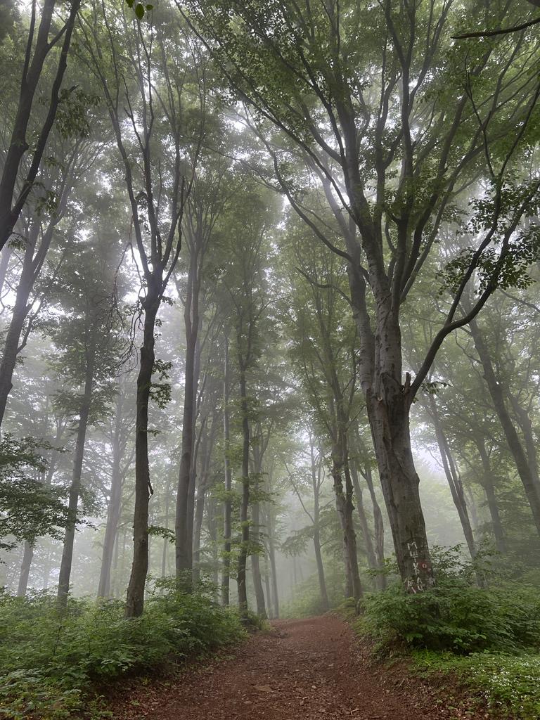 Photo №1 of Mali Shturac