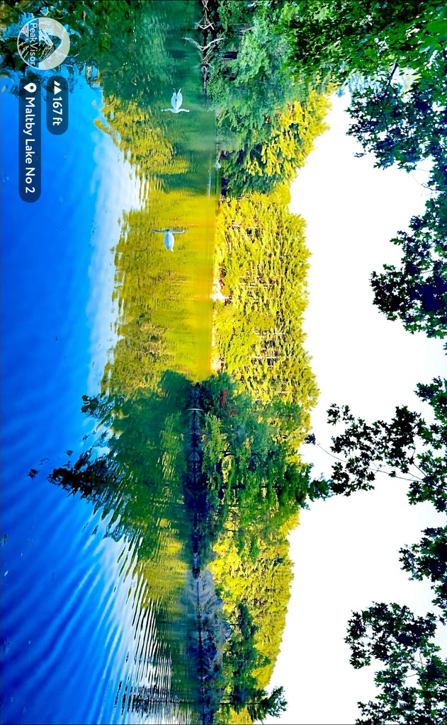 Photo №2 of Malty Lake No. 3