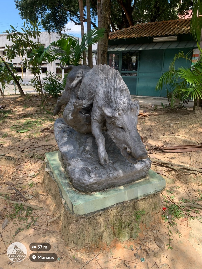 Photo №2 of Manaus