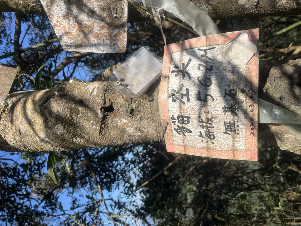 Photo №1 of Maokongjian