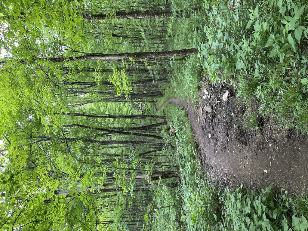 Photo №2 of Maple Sugar Gap