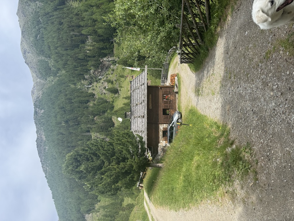 Mariolberger Alm - Malga Mariolberg