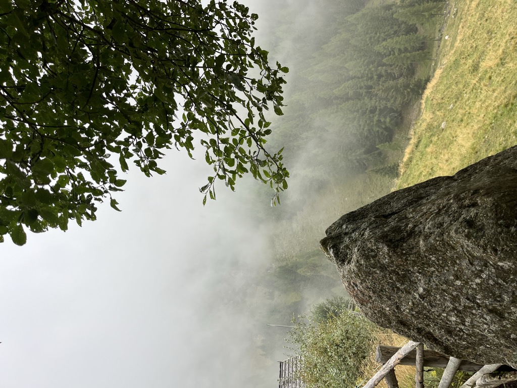mariolberger-alm-malga-mariolberg