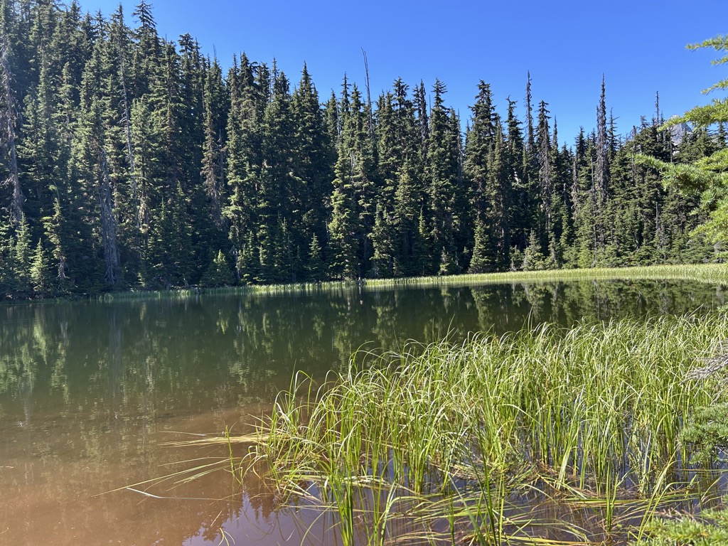 Photo №2 of Marion Lake