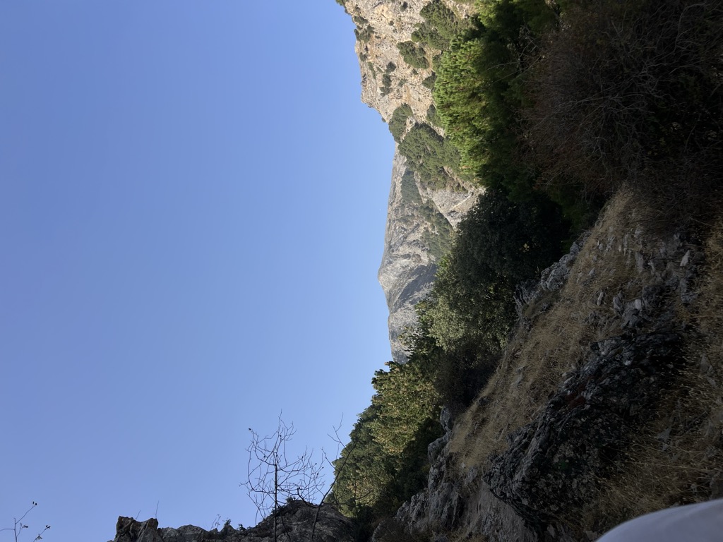 Photo №1 of Maroma