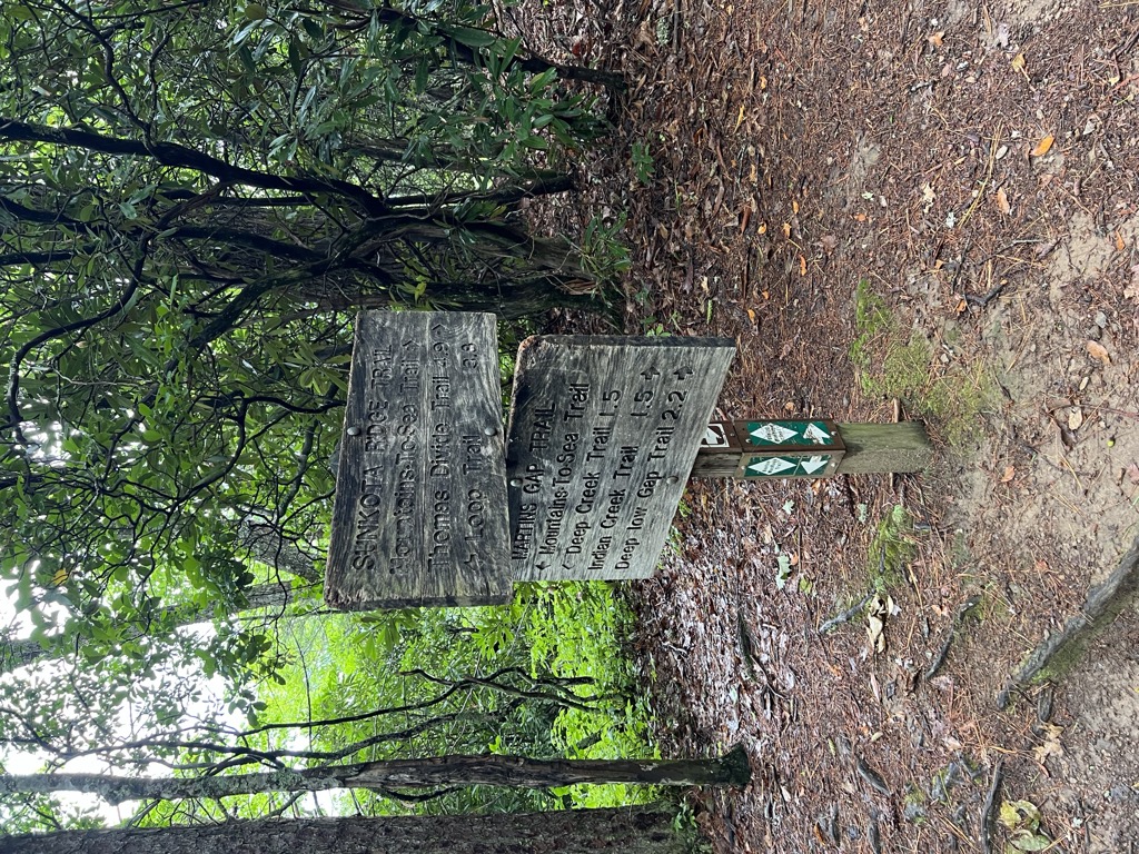 Photo №2 of Martins Gap