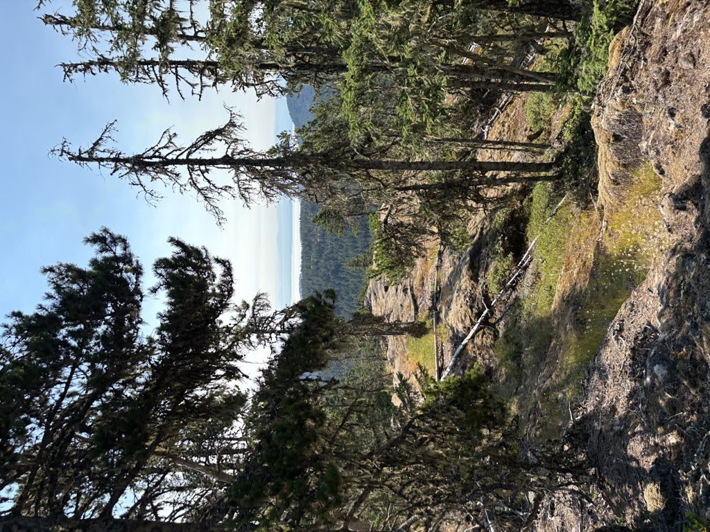 Photo №1 of Mary's Peak