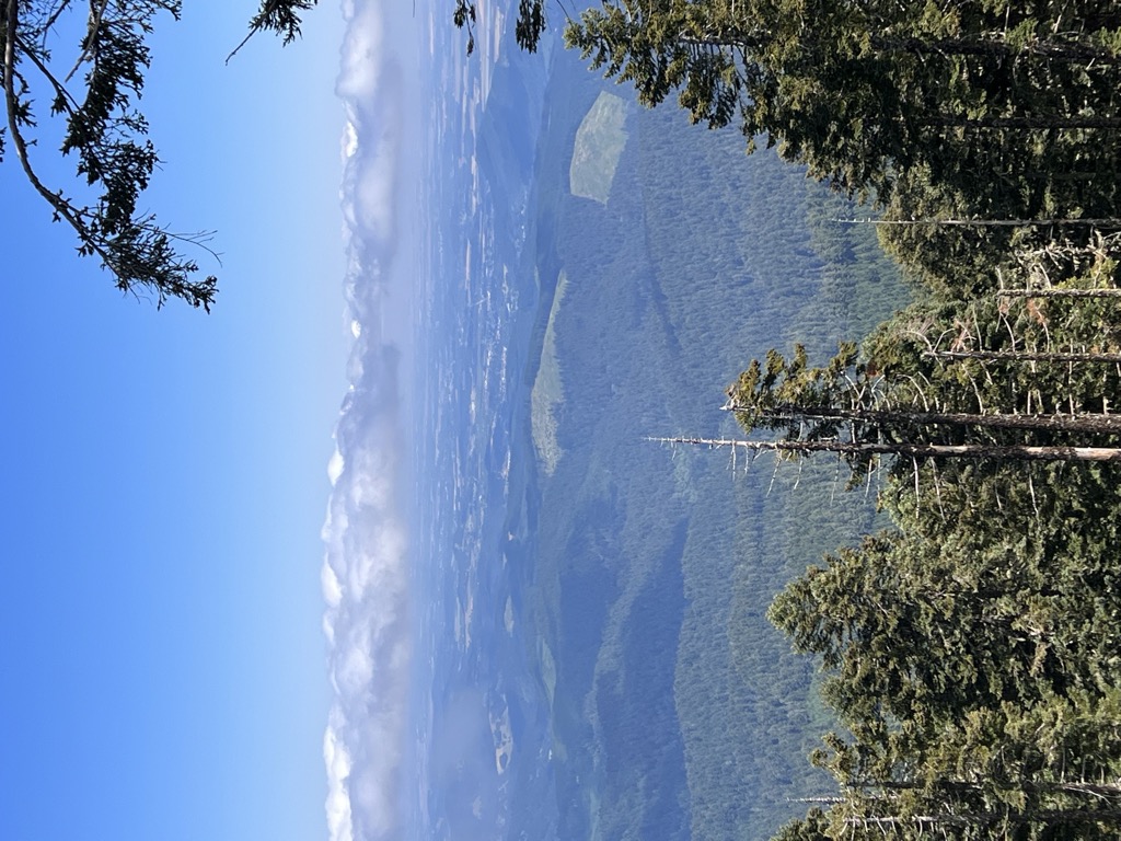 Photo №1 of Marys Peak