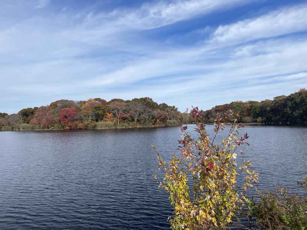 Photo №1 of Massapequa Reservoir