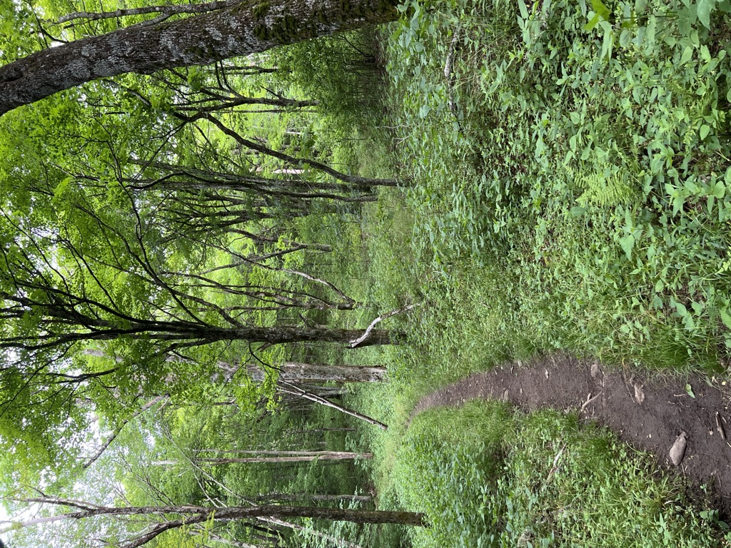 Photo №2 of Mccampbell Gap