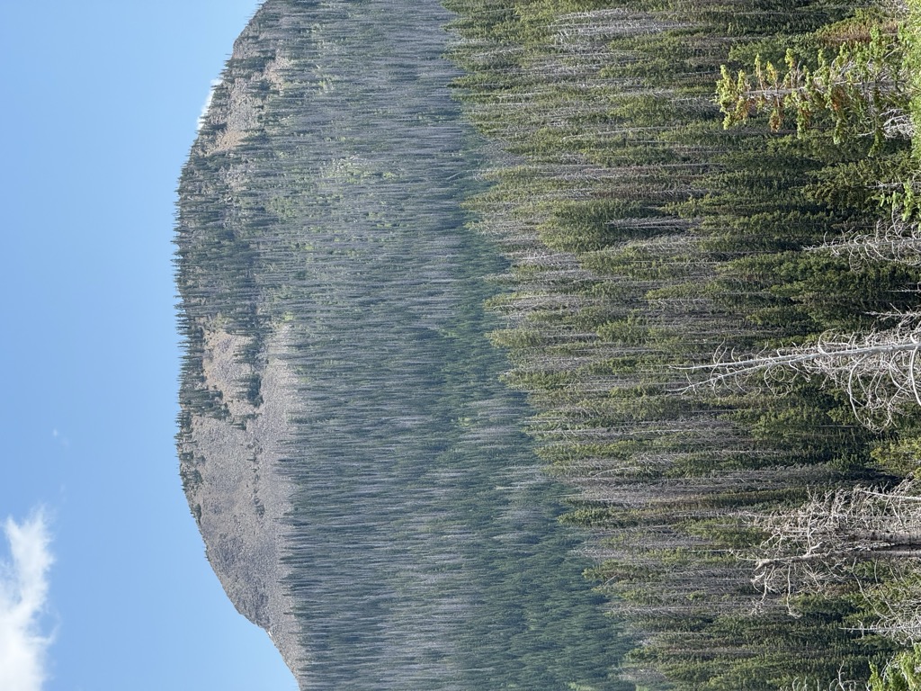 Photo №1 of McFaddin Peak