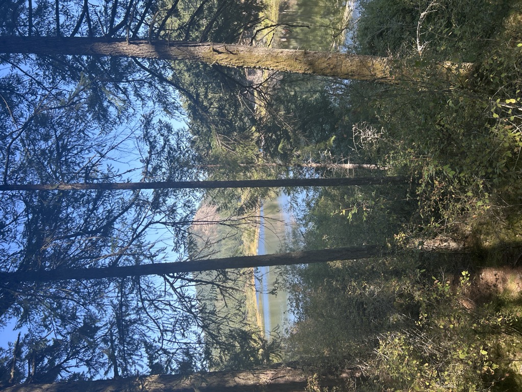 Photo №2 of McKenzie Lake