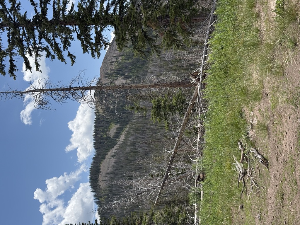 Photo №1 of Meaden Peak