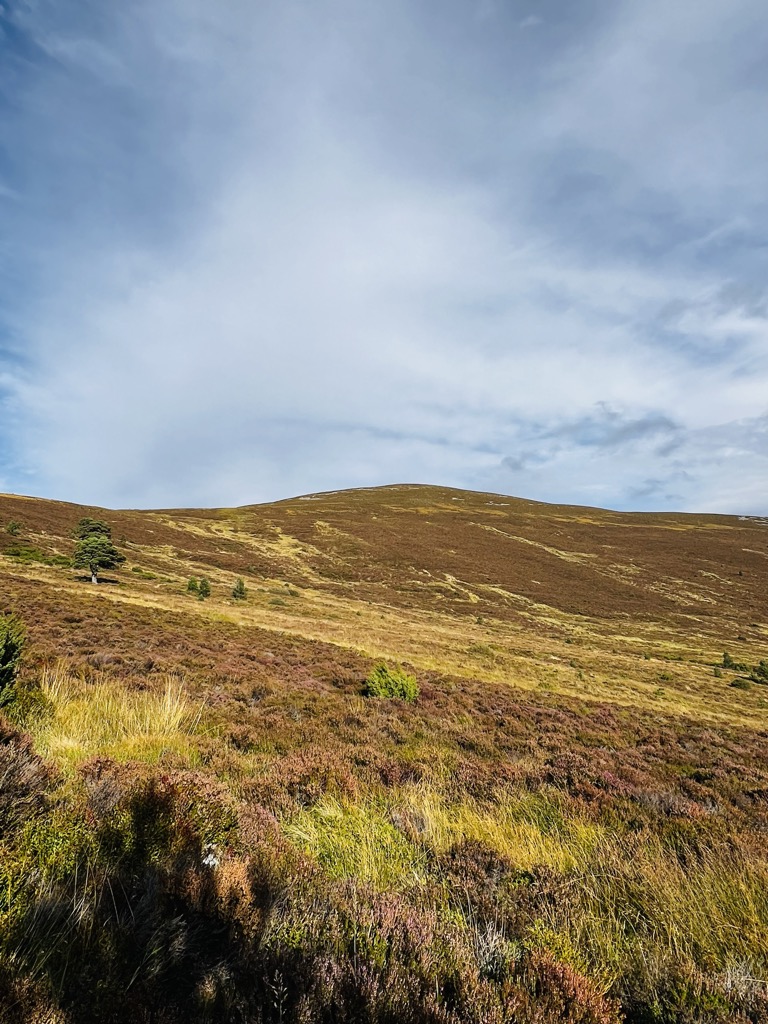 Photo №1 of Meall a' Bhuachaille