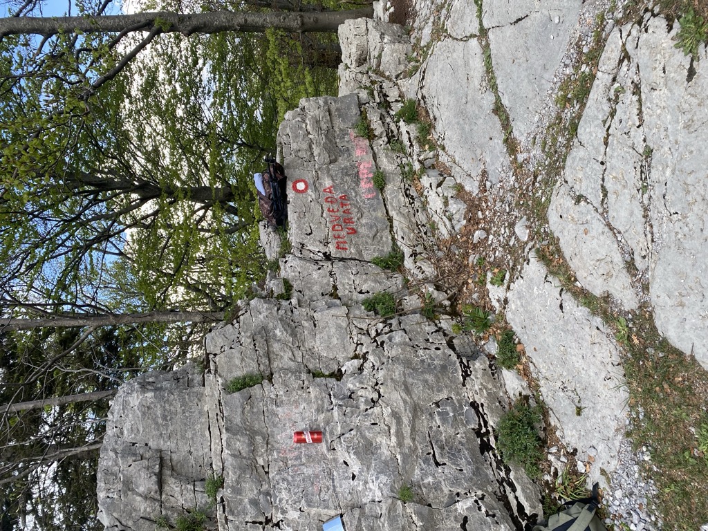 Medvjeđa vrata