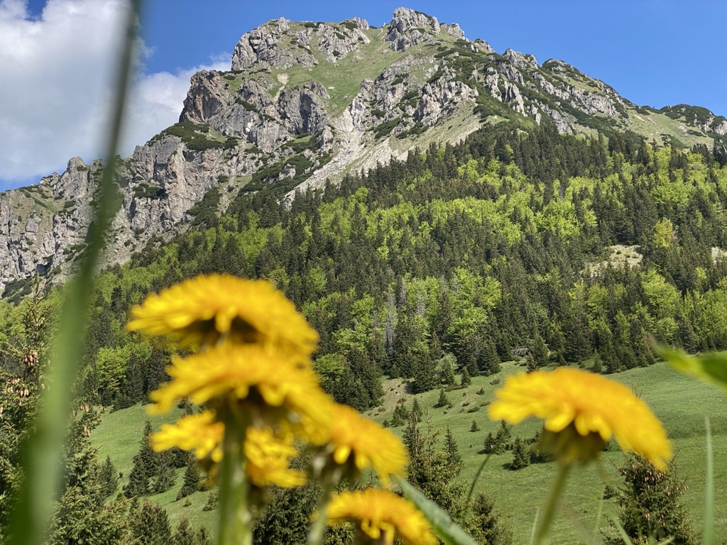 Photo №2 of Medziholie