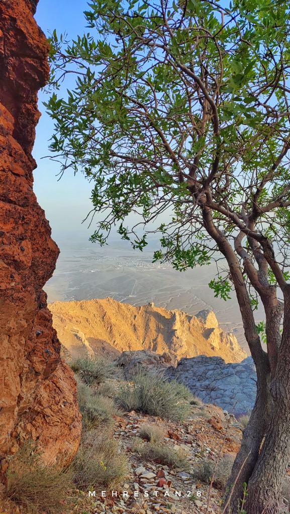 Photo №3 of Mehrestan