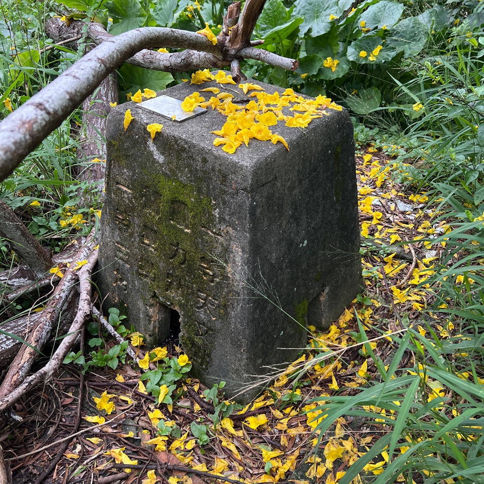 Photo №2 of Meilunshan