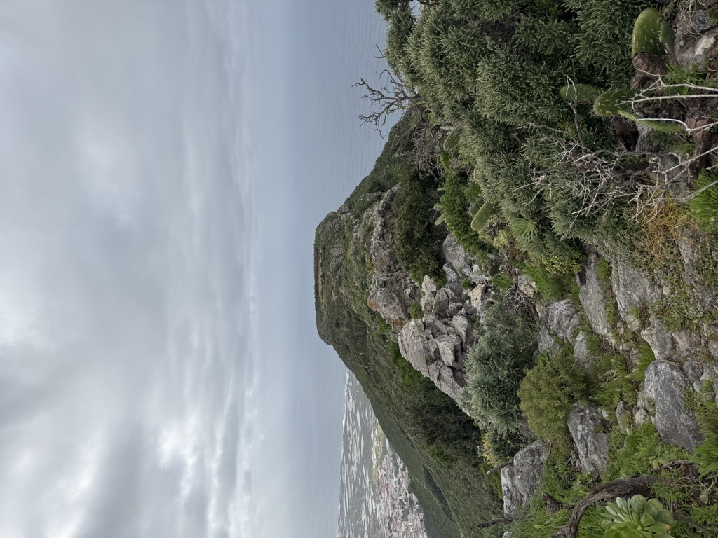 Mesa de Tejina