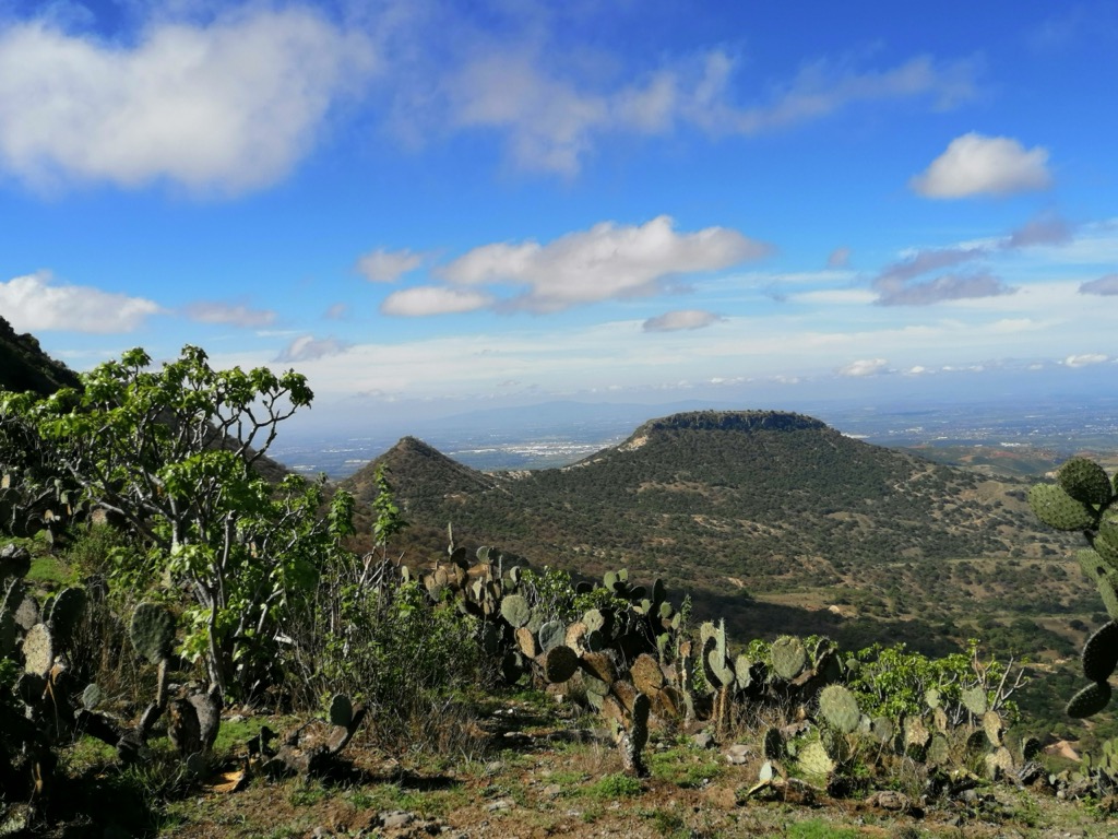 Photo №1 of Mesa del Gallo