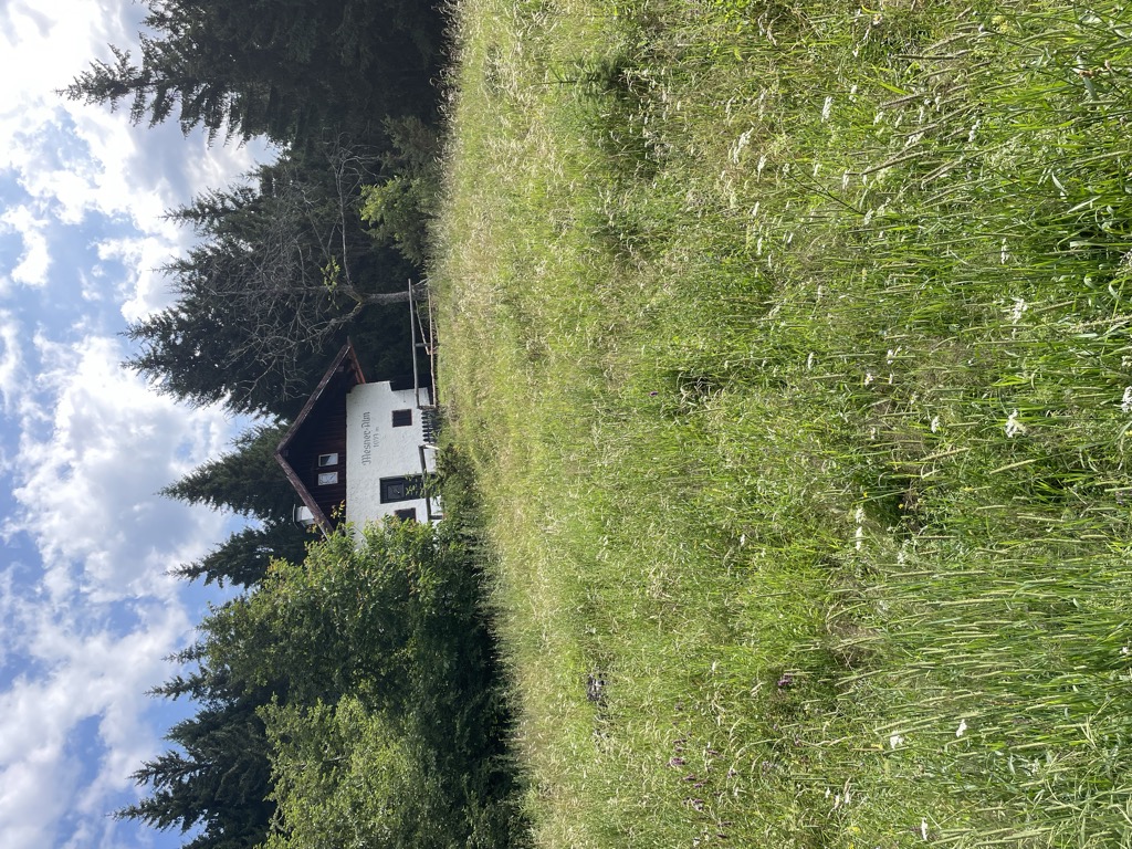 mesneralm