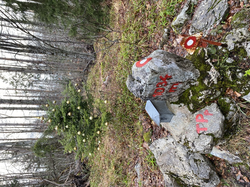 Photo №2 of Mestni vrh