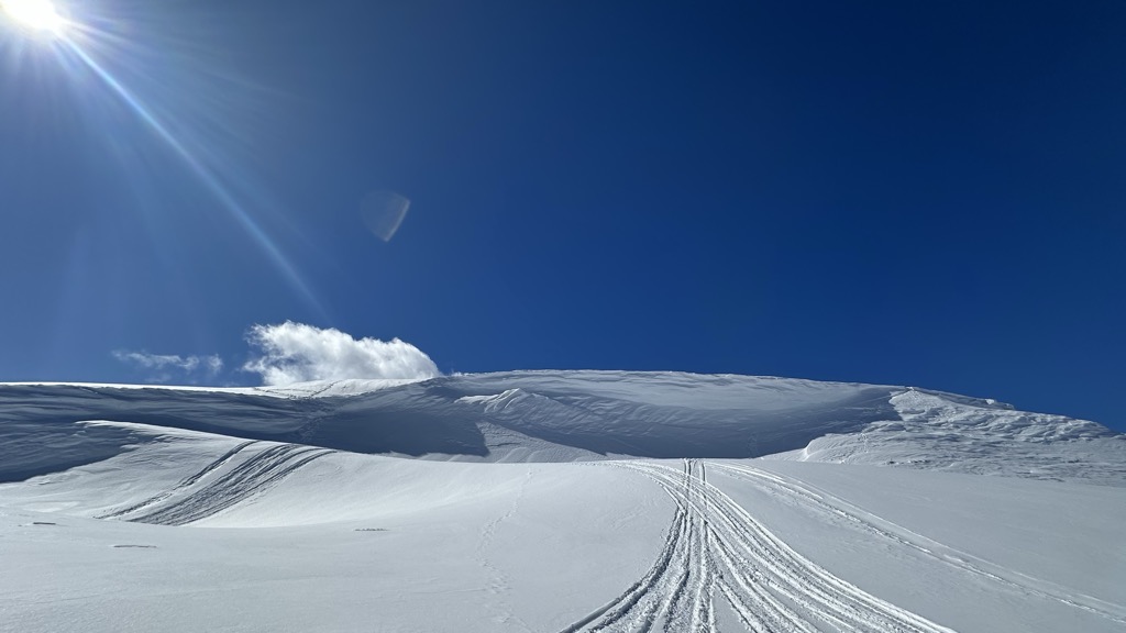 Photo №2 of Metal Dome