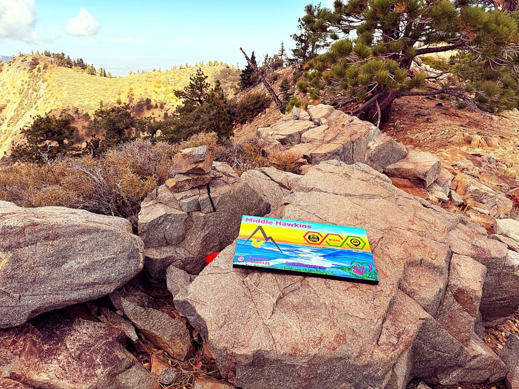 Photo №1 of Middle Hawkins