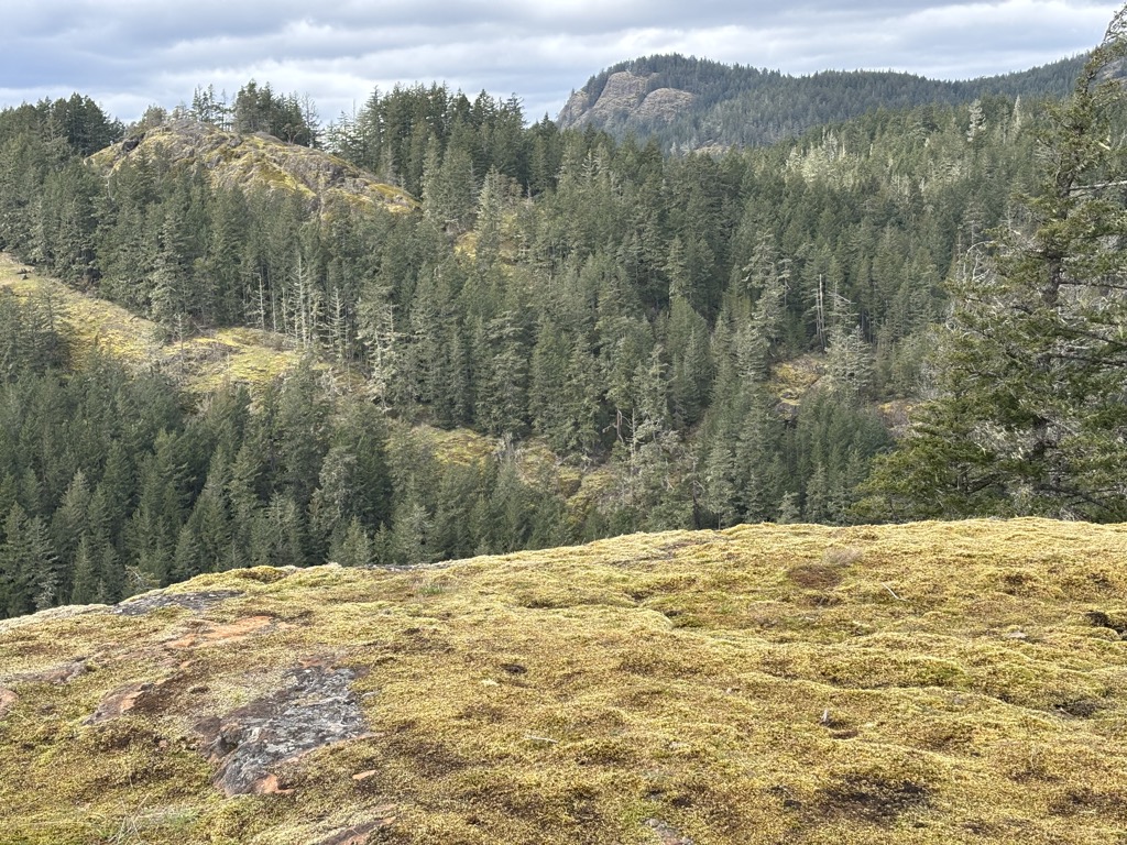 Photo №1 of Mike Hill