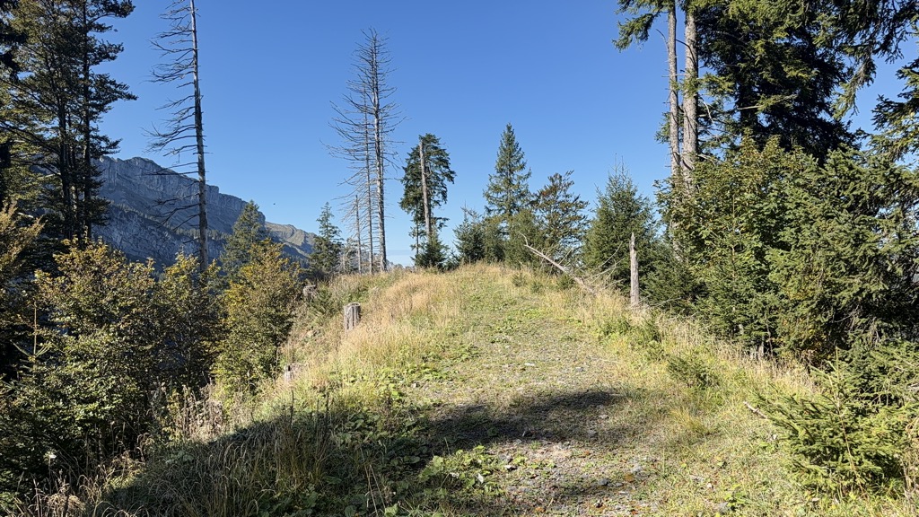 Mittagspitz