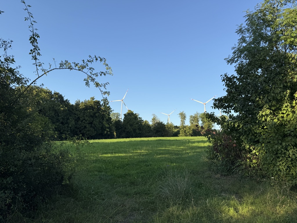 Photo №2 of Mittelberg