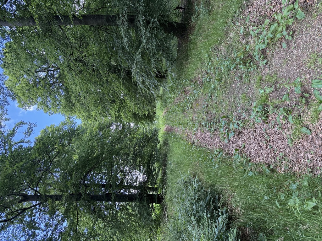 Photo №2 of Mittelsberg