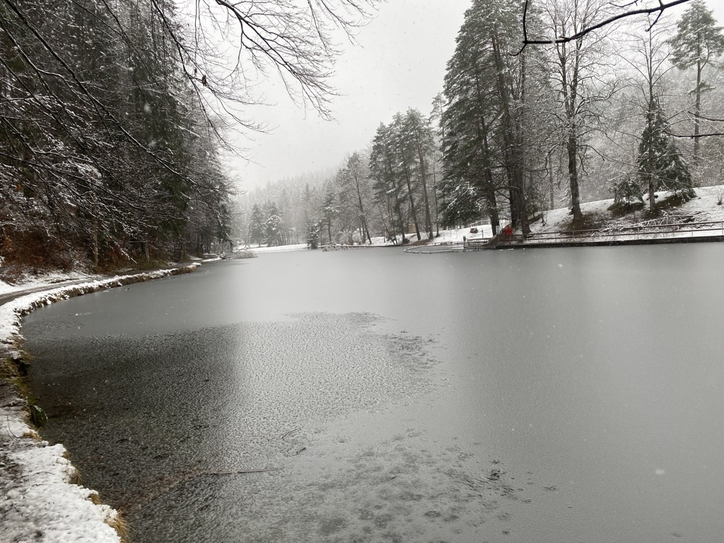 Photo №2 of Mittersee