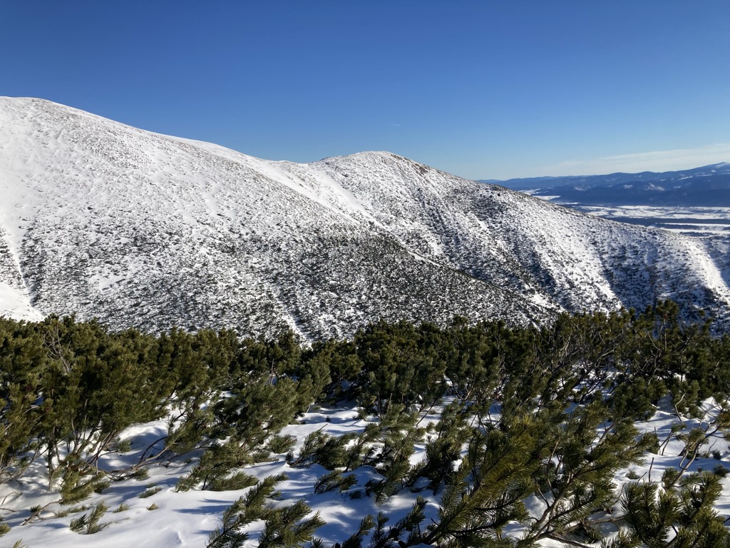 Photo №2 of Mládky