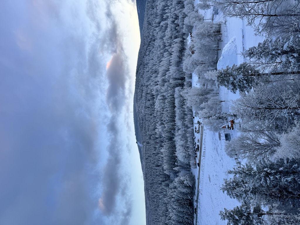 Photo №1 of Młynica