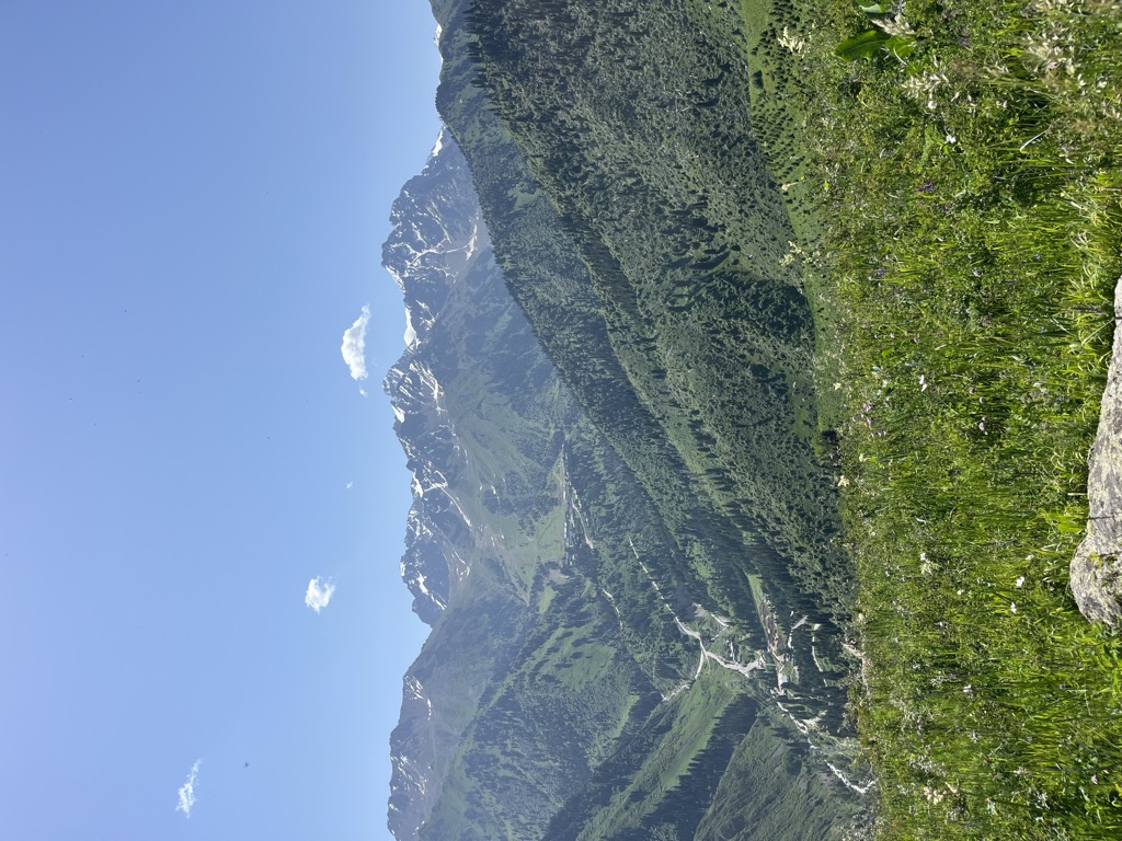 Photo №1 of Mohnatka