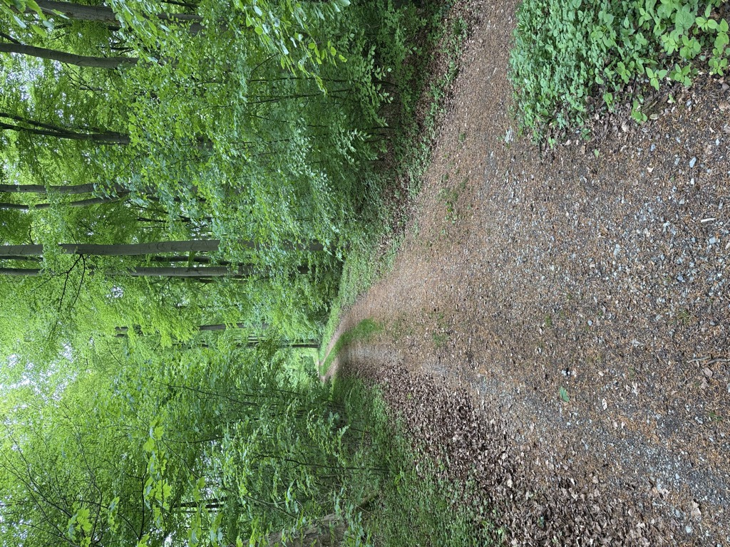 Photo №1 of Möllenberg