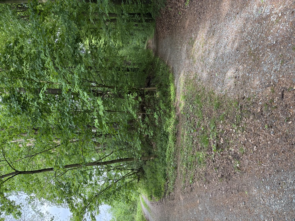 Photo №2 of Möllenberg