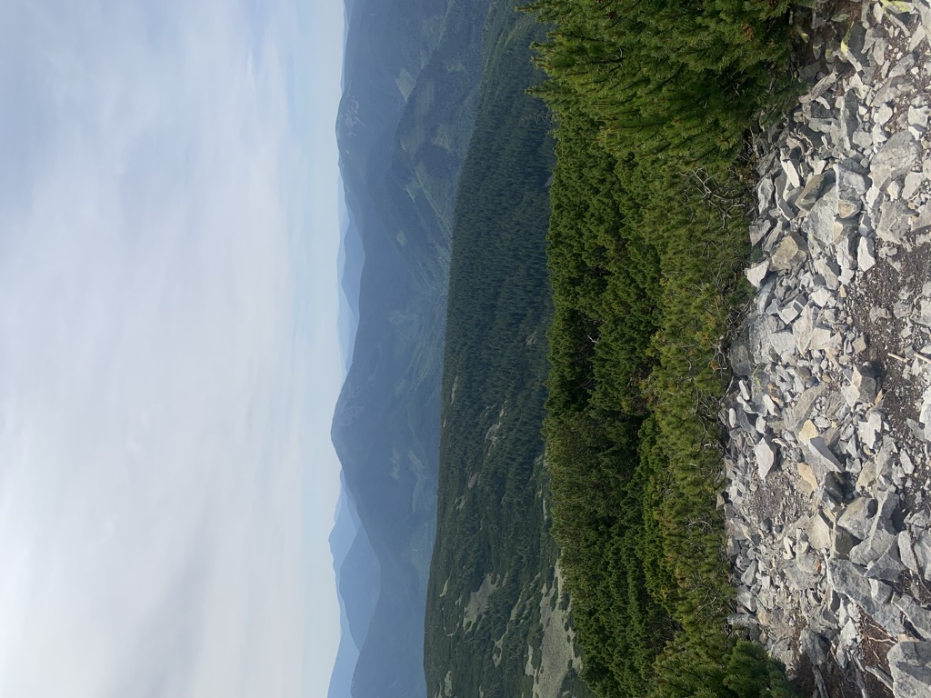 Photo №1 of Moloda