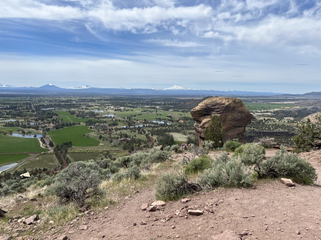 Photo №1 of Monkey Face