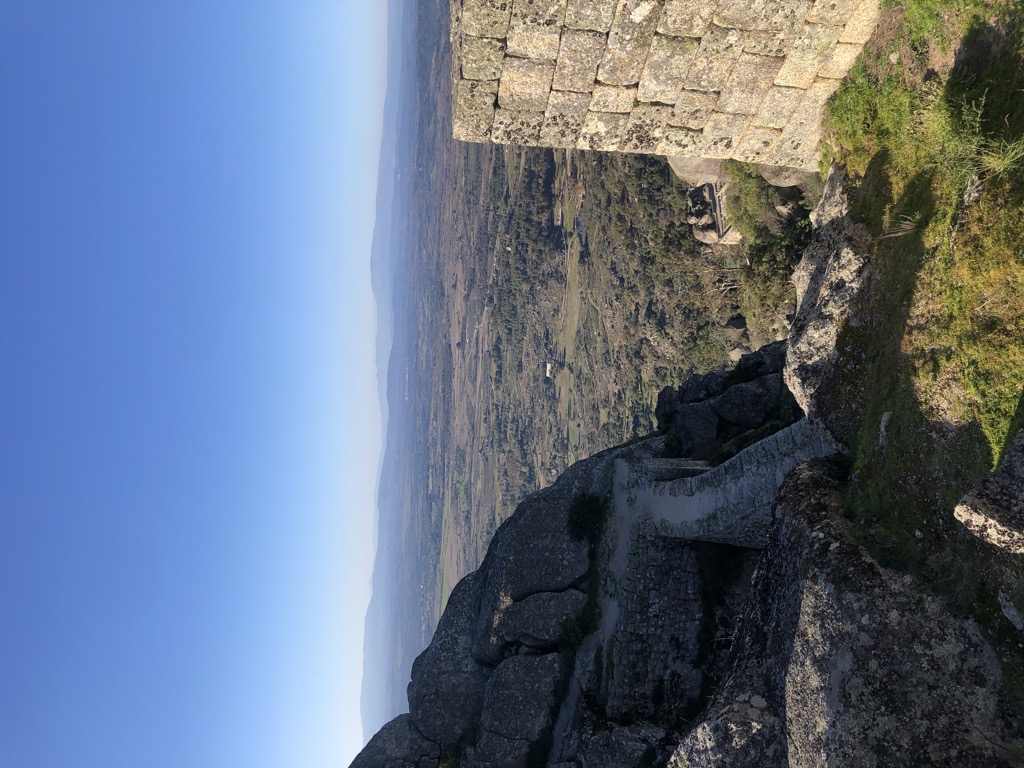 Photo №1 of Monsanto