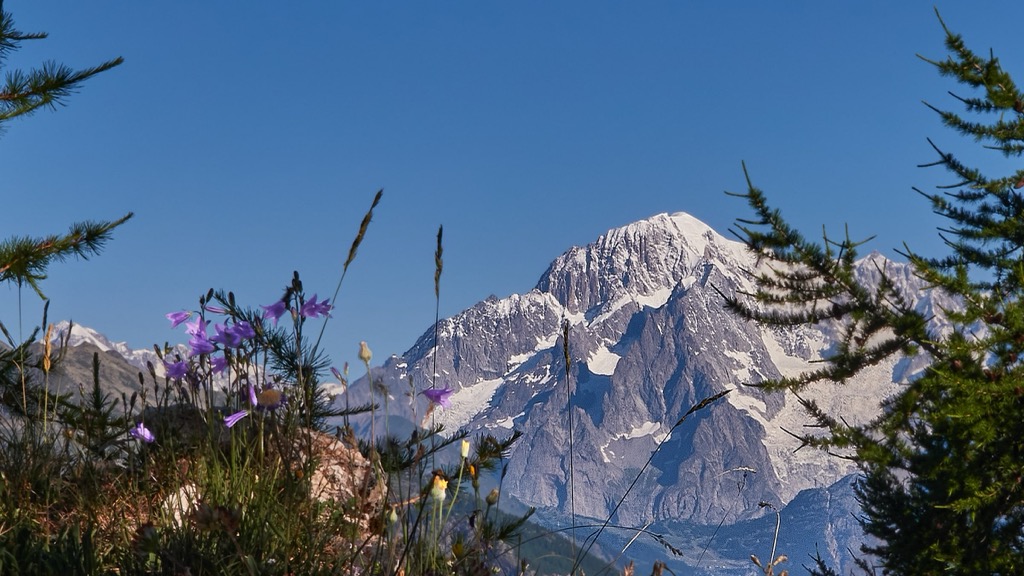Photo №1 of Mont-Blanc