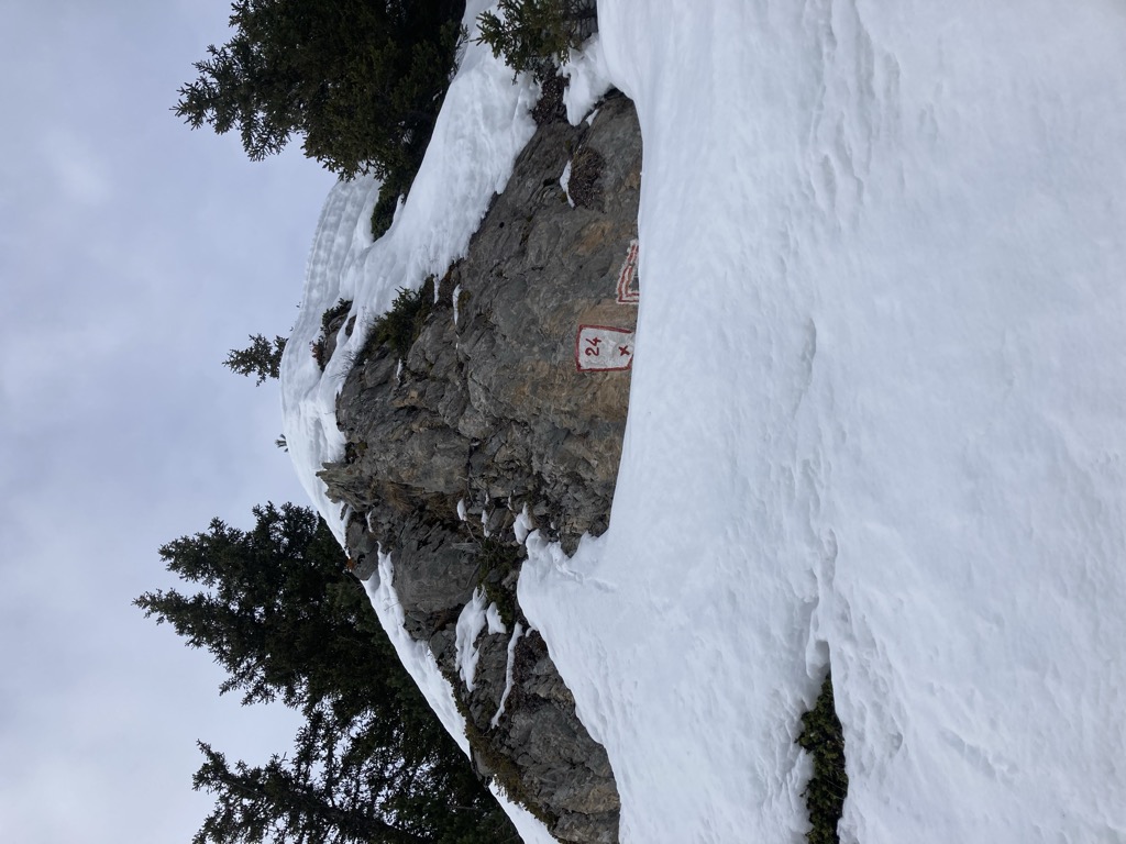 Photo №2 of Mont Bochor
