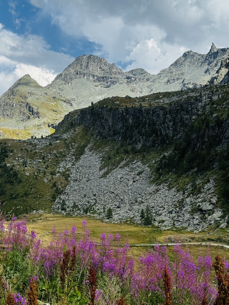 Photo №2 of Mont de Saler