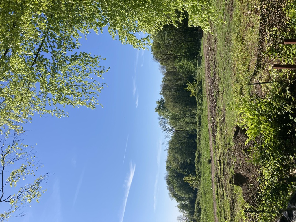 Photo №1 of Mont Goudinon